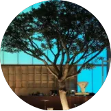 e5548cc1d2de903617f93f032418660e-sz_1081281 (1).png